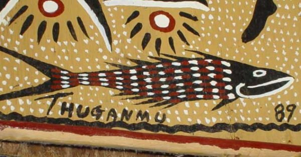 DH14 Bark Painting Arnold Thuganmu Mornington Island 1990's - Image 2