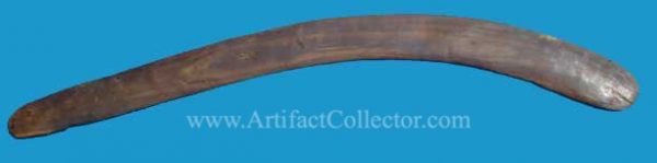 AY10 Hunting Boomerang - Image 4