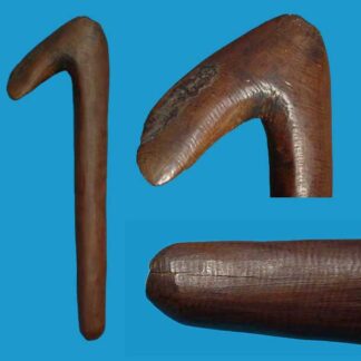 DF20 Rare Beaked Fighting / Hunting Club Thursday Island Torres Strait 19th c.