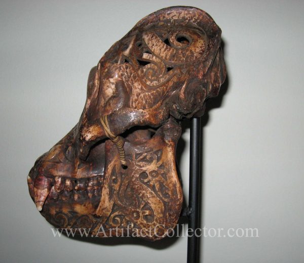 DQ20a Dayak Incised Ape Skull - Image 3