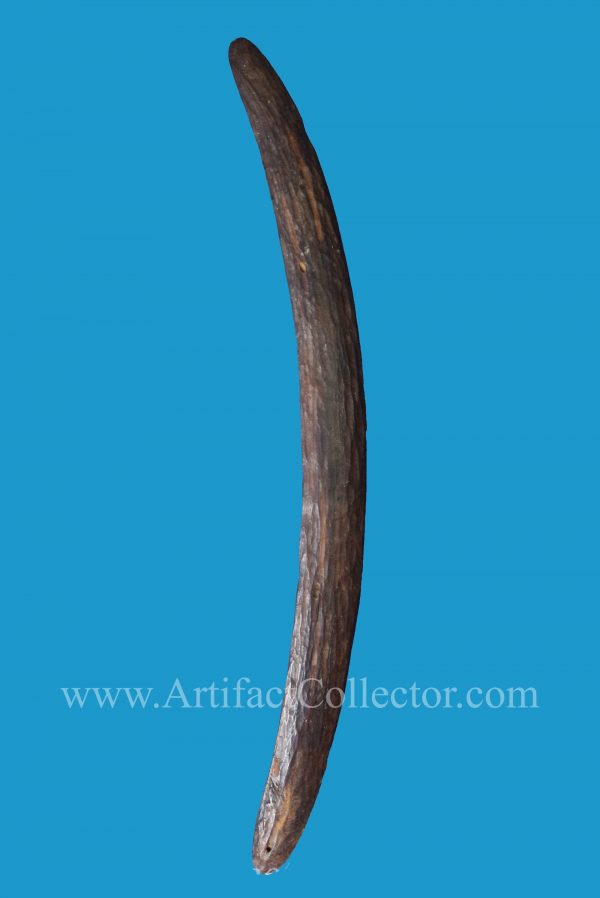 AG15 Boomerang Stone Cut 19th c. - Image 5