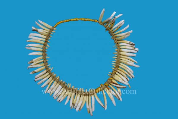 AS22 Woven Necklace Pigs Teeth - Image 3