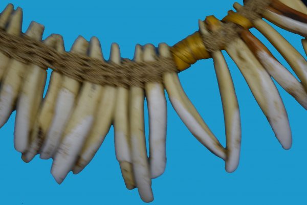 AS22 Woven Necklace Pigs Teeth - Image 2