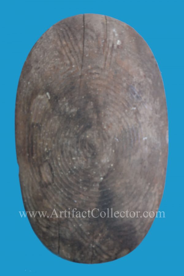 BK01 Australian Aboriginal Wooden Object 19th Century - Image 2