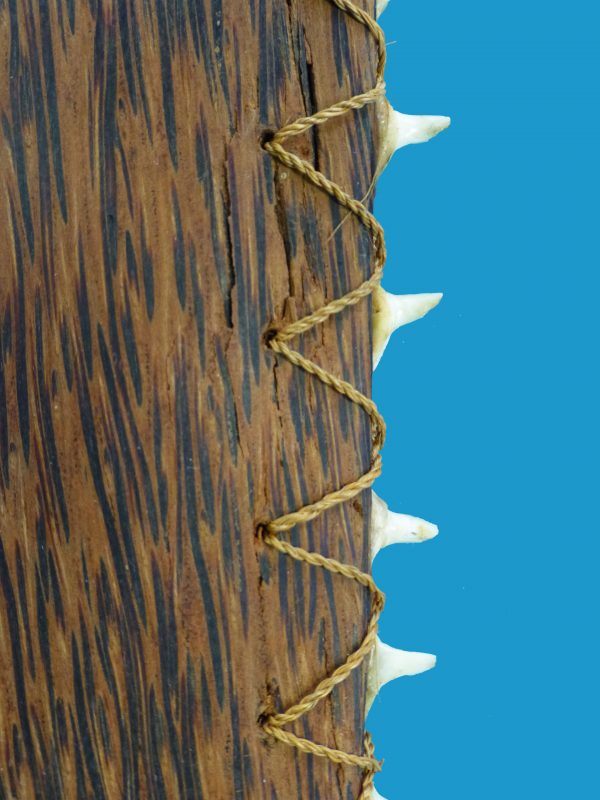 CH18 Mortlock Islands Sharktooth Sword - Image 3