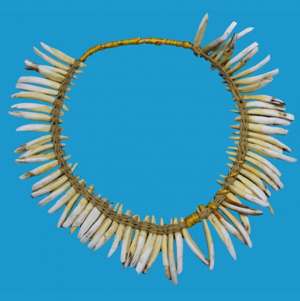 AS22 Woven Necklace Pigs Teeth