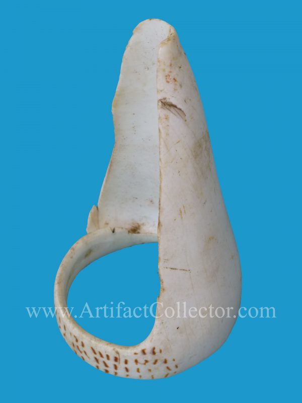 DG27_2 Rare Conus Shell Armband Torres Straits - Image 4