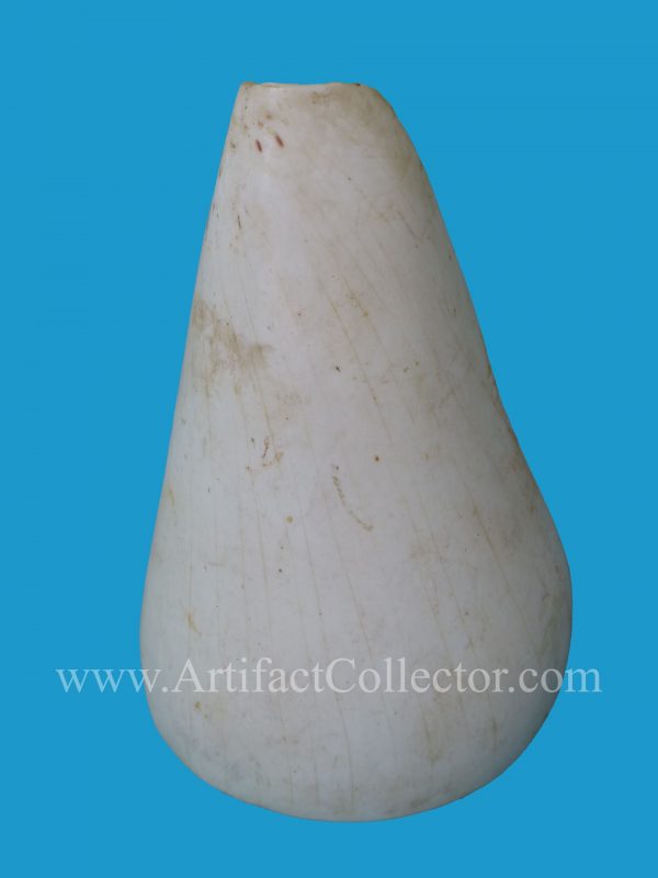 DG27_2 Rare Conus Shell Armband Torres Straits - Image 2