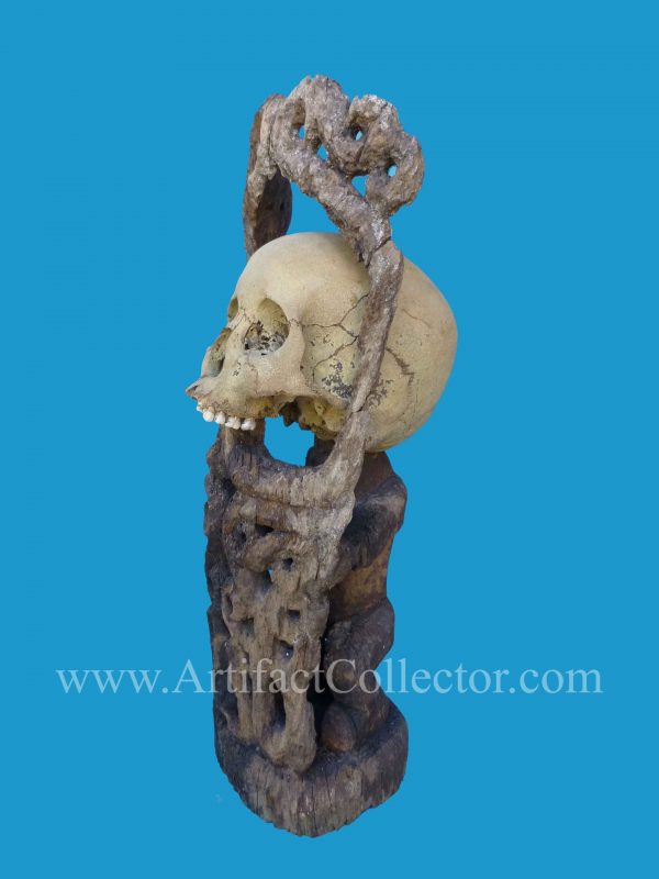 DU12 Rare Korwar Museum Quality Ancestor Skull 19th - Image 10