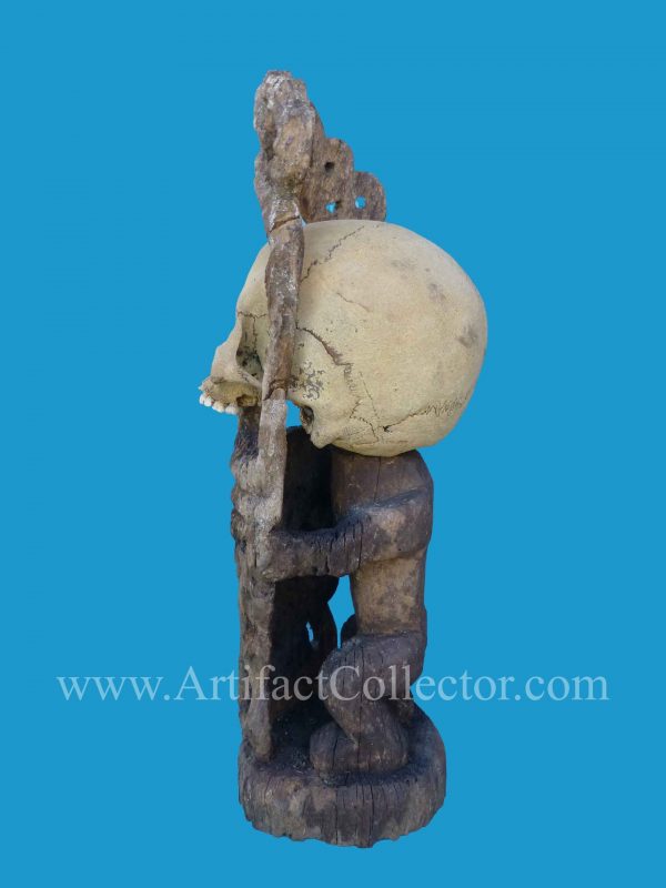 DU12 Rare Korwar Museum Quality Ancestor Skull 19th - Image 9