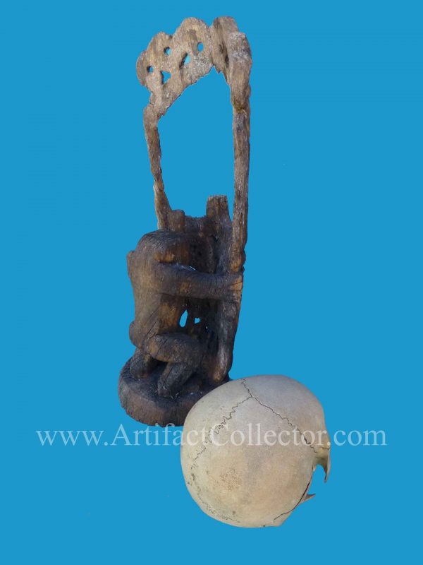 DU12 Rare Korwar Museum Quality Ancestor Skull 19th - Image 6