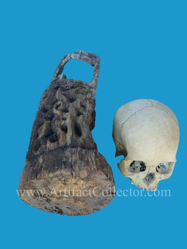 DU12 Rare Korwar Museum Quality Ancestor Skull 19th - Image 4