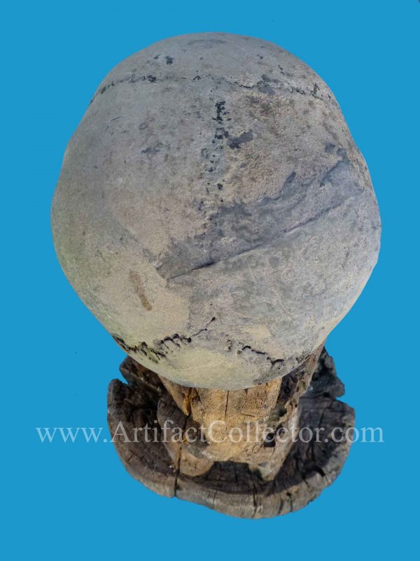 DU13 Rare Korwar 19th c. with Ancestor Skull Northwest New Guinea - Image 5