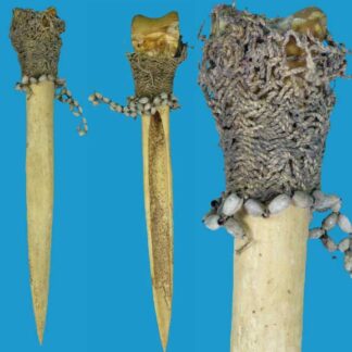 DB24 Dagger Cassowary Bone Job's Tears