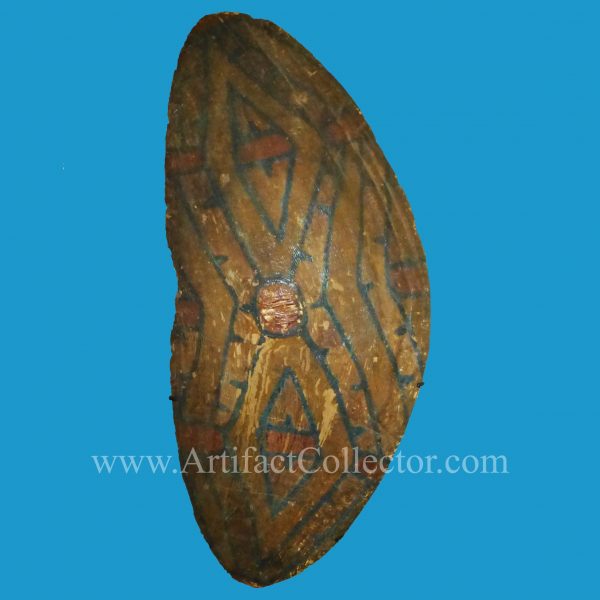 aAQ01 Rainforest Shield 19th c. Museum Quality