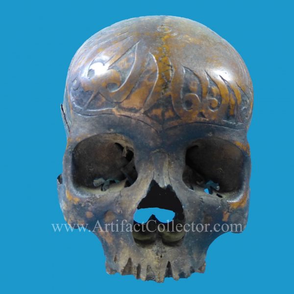 DV05 Dyak Trophy Skull Incised Borneo