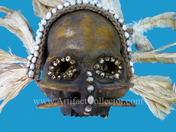 DV12 Asmat Ancestor Skull Papua Irian Jaya - Image 3