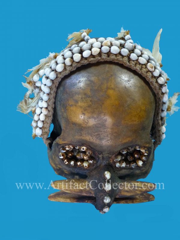 DV12 Asmat Ancestor Skull Papua Irian Jaya - Image 5