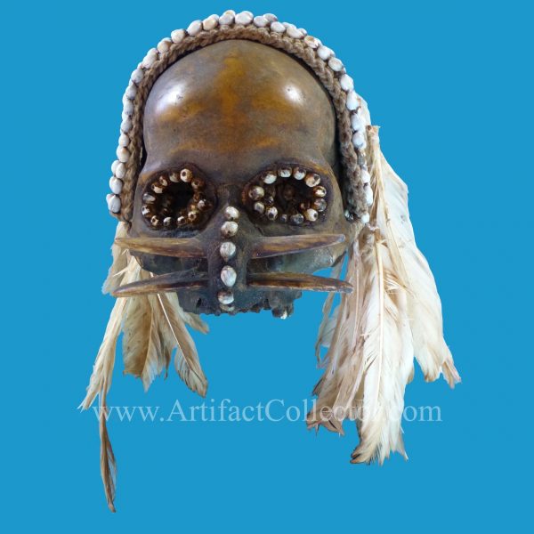 DV12 Asmat Ancestor Skull Papua Irian Jaya