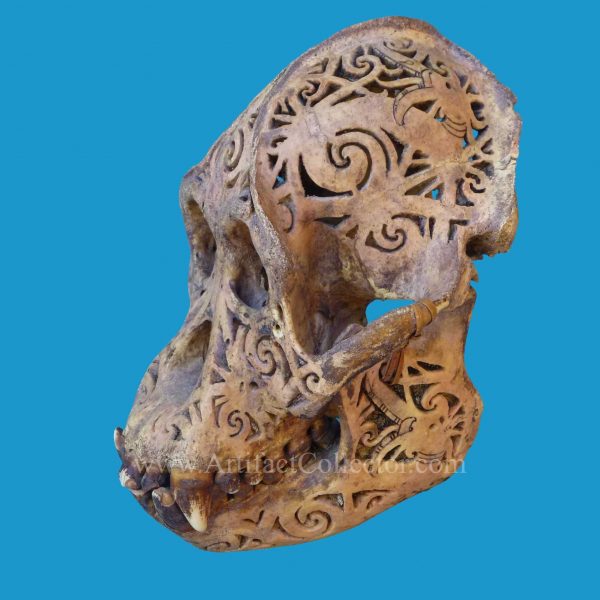 DQ20 Dayak Incised Pierced Ape Skull Borneo - Image 3