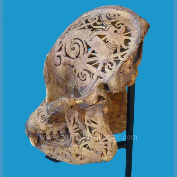 DQ20 Dayak Incised Pierced Ape Skull Borneo - Image 4