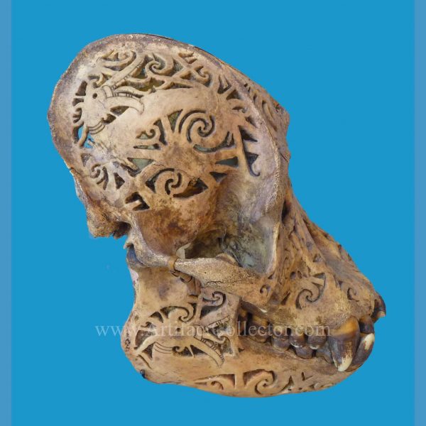 DQ20 Dayak Incised Pierced Ape Skull Borneo - Image 6