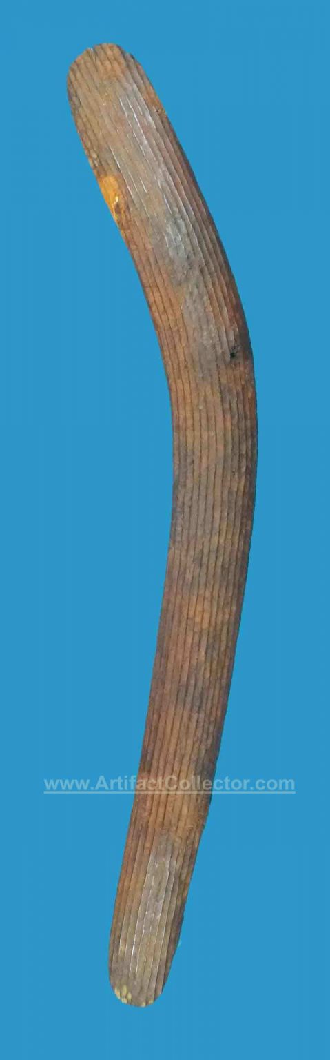 AM10 Superb Large Hunting/Fighting Boomerang Stone Cut and Fluted late 1800's. - Image 2