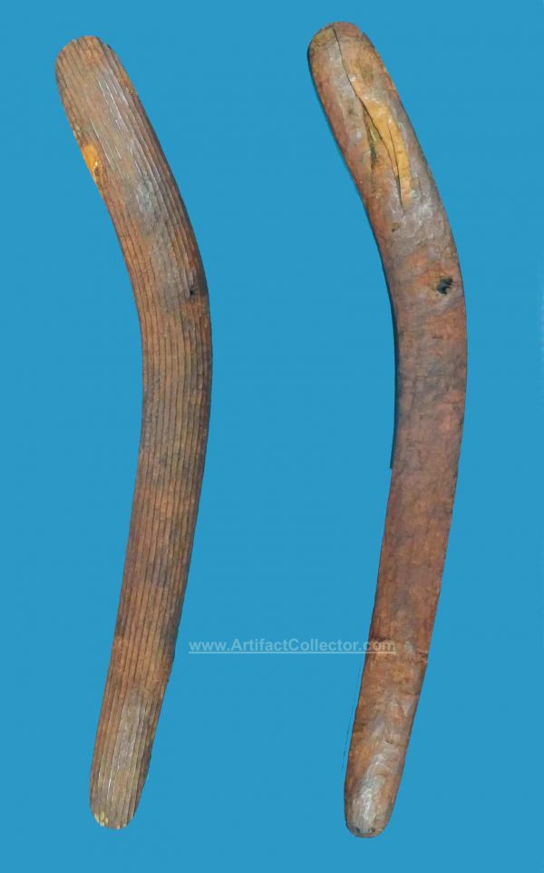 AM10 Superb Large Hunting/Fighting Boomerang Stone Cut and Fluted late 1800's. - Image 7