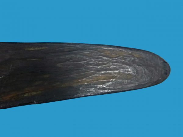 AQ13 Boomerang Stone Cut Pre-Contact - Image 5