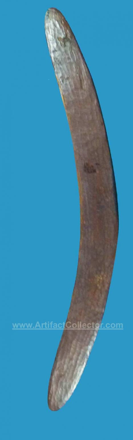 BD07 Boomerang Hunting Central Desert. Pre-Contact Late 1800. - Image 3