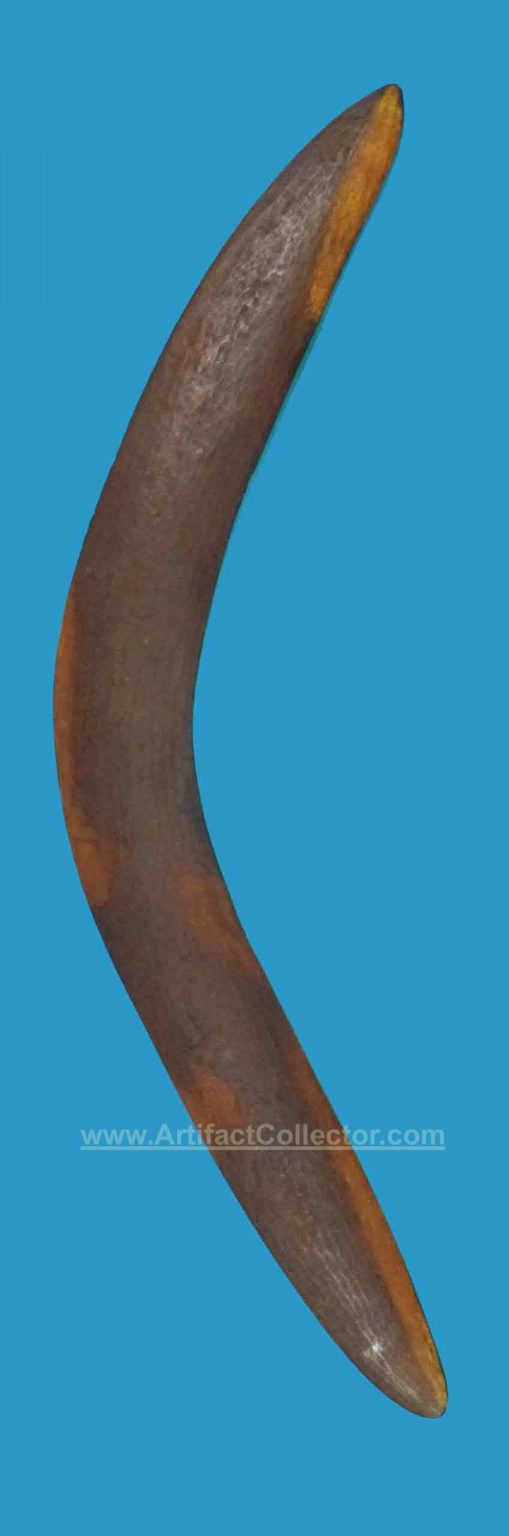 CF22 Boomerang Western Kimberly Hunting Fine Stone Cut mid - late 1800's - Image 2