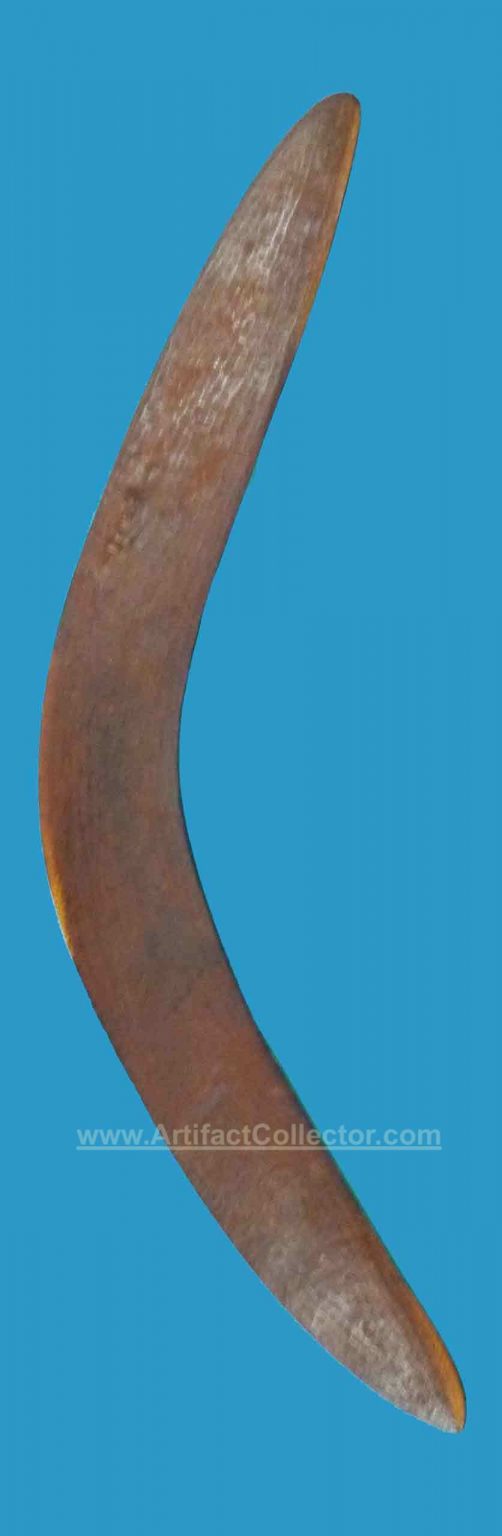 CF22 Boomerang Western Kimberly Hunting Fine Stone Cut mid - late 1800's - Image 3