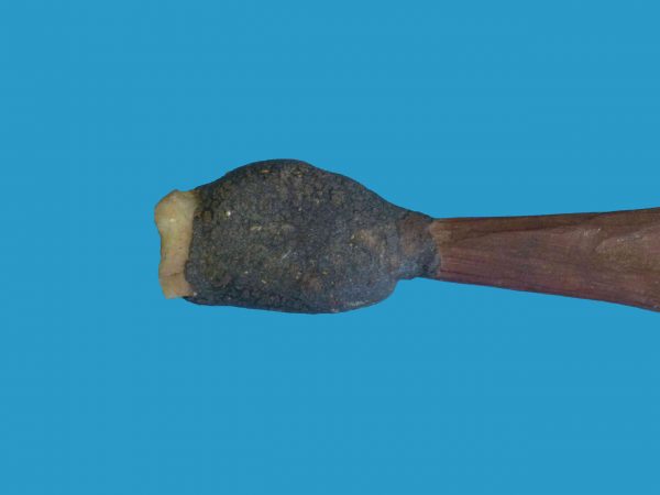 N08 Very Old Woomera Spearthrower ochred with Tula Adze tip. - Image 4