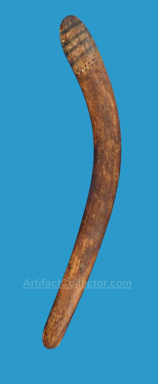 AM11 Boomerang from Halls Creek Western Australia. Ex Museum. - Image 2