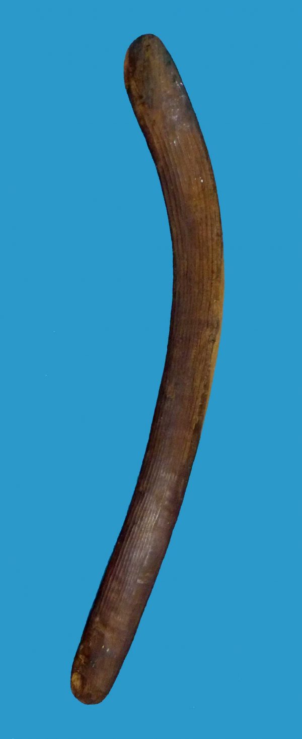 BB11 Boomerang Central Australian Hunting Fluted early 1900's - Image 2