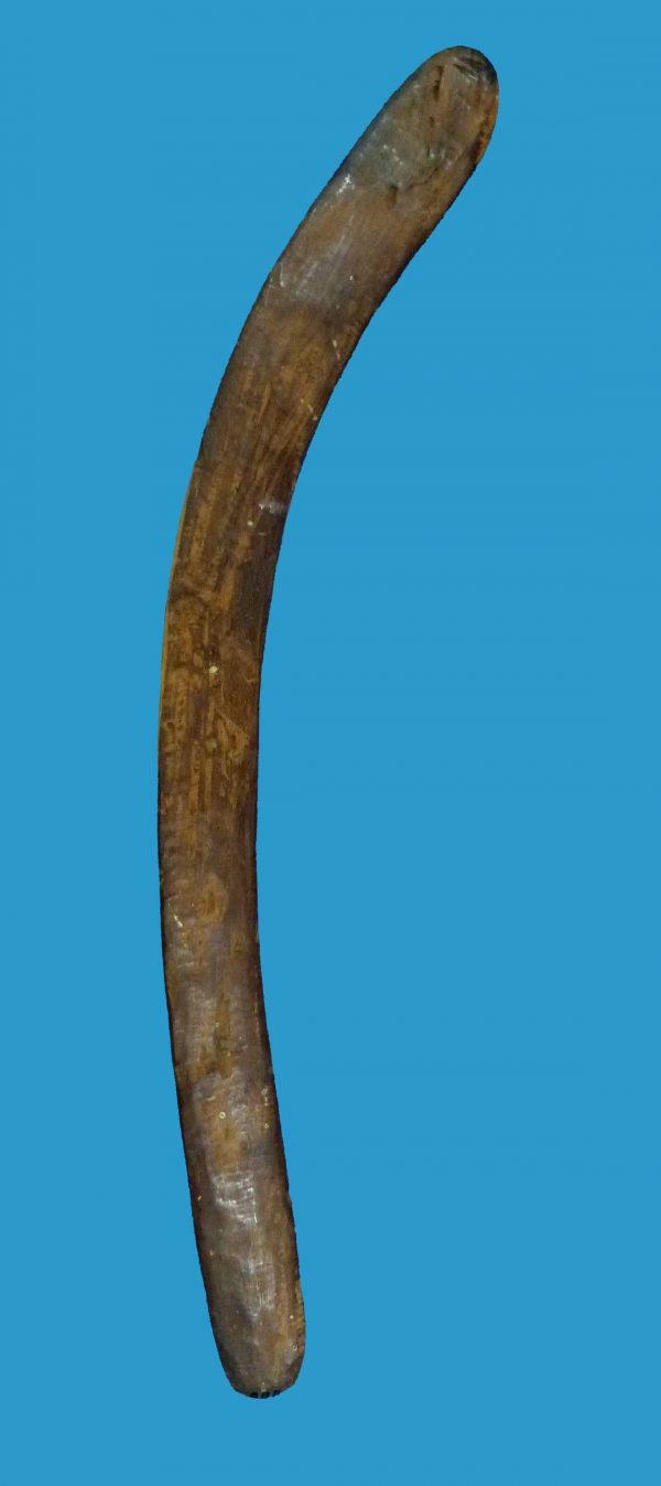 BB11 Boomerang Central Australian Hunting Fluted early 1900's - Image 3