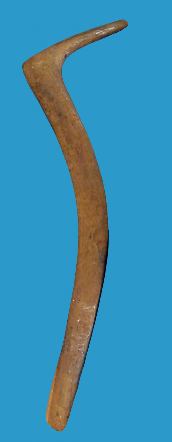 HC05 Fighting Beaked Boomerang Etched Walbri Mudbura. - Image 3