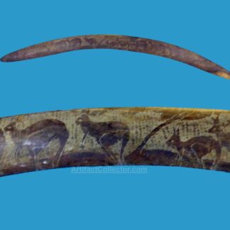 HC10 Boomerang decorated with kangaroos Massive