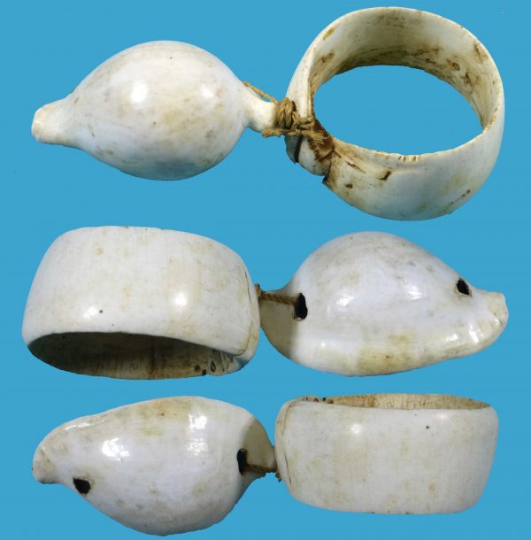 HD13 PNG Giant Clam Bracelet Armband with attached Cowrie Shell