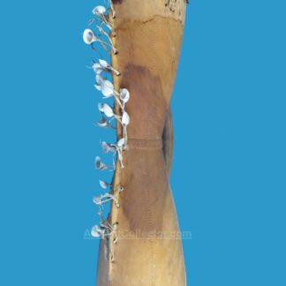 CT13 Drum Sepik with Shell Rattles Lizard Skin Drumhead.