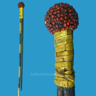 HA23 Aboriginal Fire Sticks Collected 1958