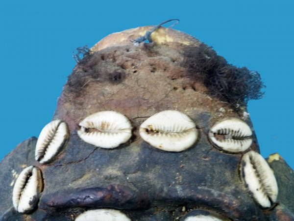 HA17 Scarce Turtle Shell Mask with Human Hair. - Image 4