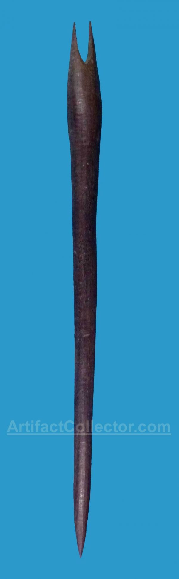 BW22 Rare Aboriginal Throwing Stick or Digging Stick Forked 19c. - Image 4