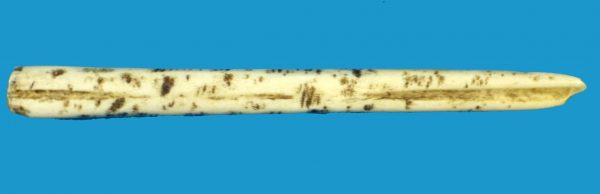 HE06 Rare Aboriginal Possible Pointing Bone Arrernte People Central Australia c1950's - Image 2