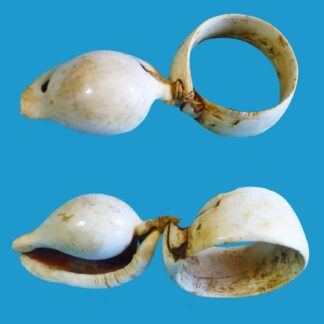 HE20 New Guinea PNG Giant Clam and Shell Bracelet