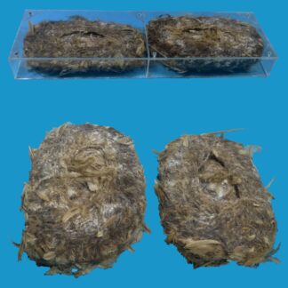 CI03 Rare Kurdaitcha Shoes Cadiche / Kadaitcha / Gudaichi from Northern Territory.