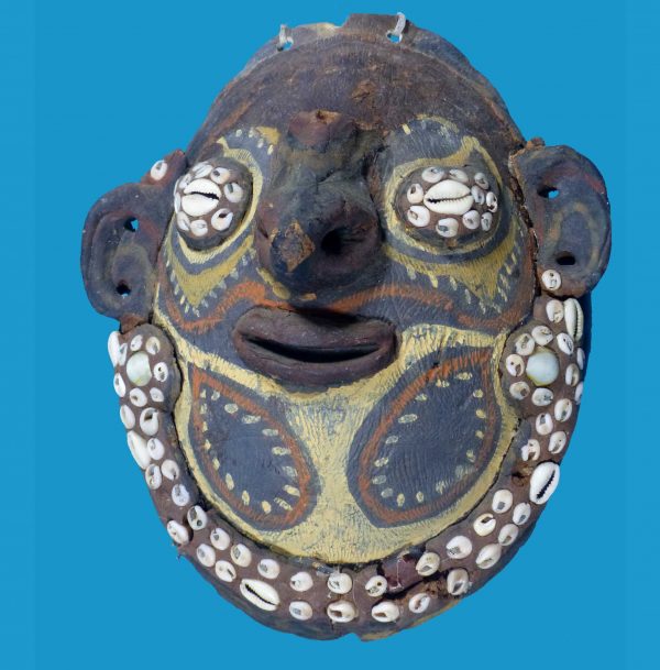 U17 New Guinea River Snapping Turtle Shell Mask