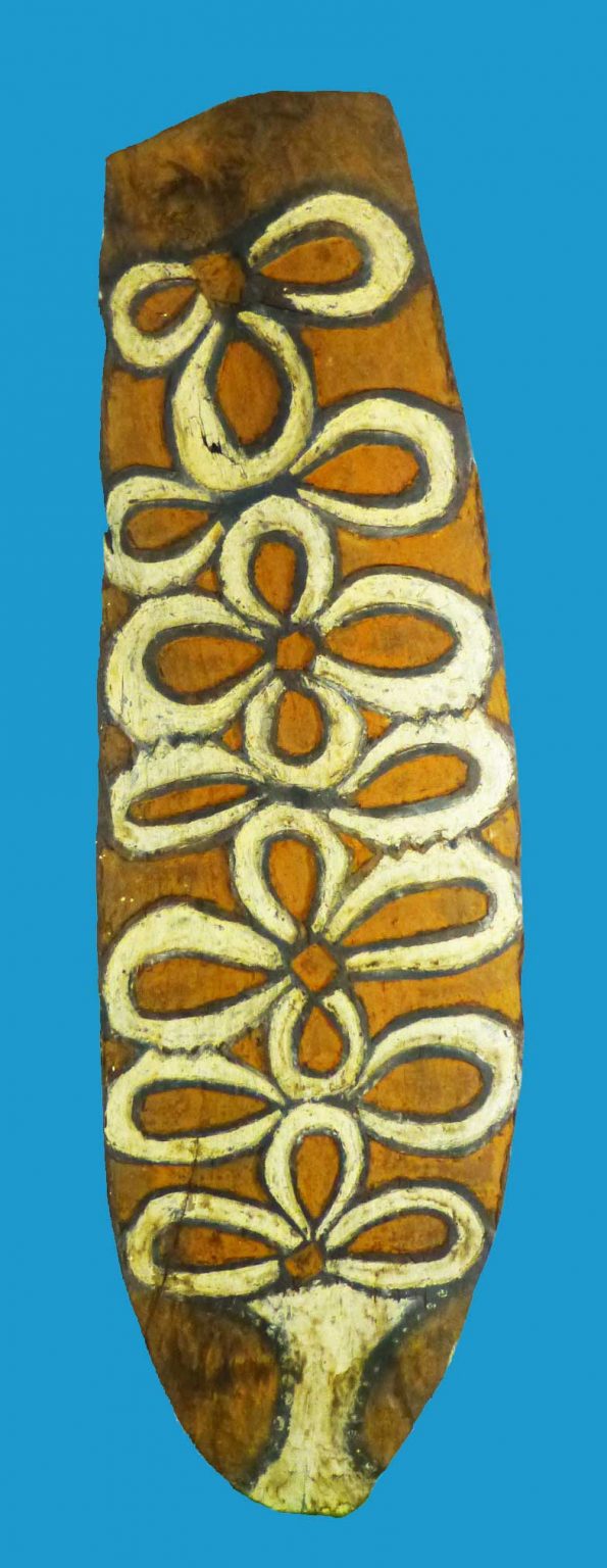 DP24 Central Coast Papua Asmat Shield Irian Jaya 1960's. - Image 2