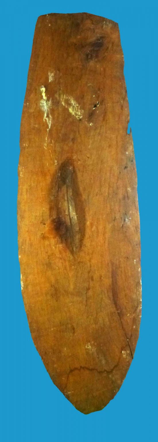 DP24 Central Coast Papua Asmat Shield Irian Jaya 1960's. - Image 3