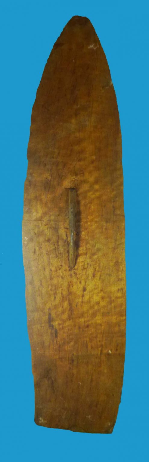 DQ03 Central Coast Asmat Shield Irian Jaya 1960's. - Image 3